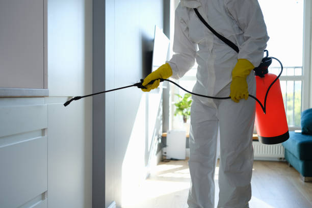 Best Office Mold Removal Services  in Onalaska, TX