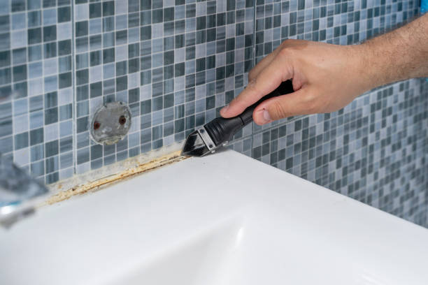 Best Mold Removal Company Near Me  in Onalaska, TX