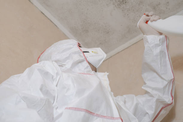 Best Affordable Mold Removal  in Onalaska, TX