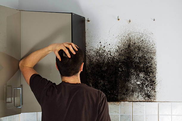 Best Home Mold Removal  in Onalaska, TX